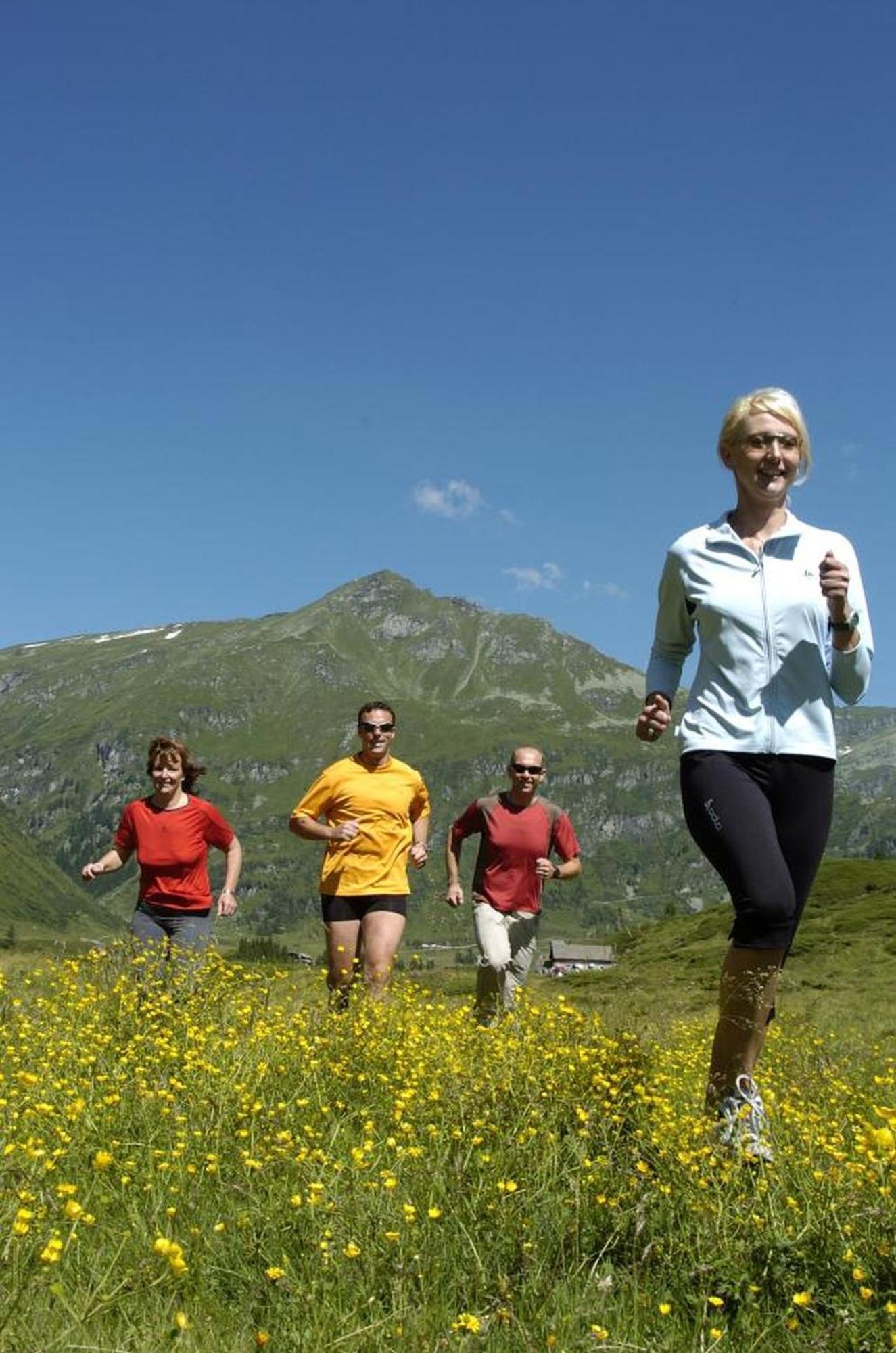 Ferienhaus Schiwiese Mit Freiem Eintritt In Die Alpentherme & Freie Nutzung Der Gasteiner Bergbahnen Im Sommer 2025 Bad Hofgastein Eksteriør bilde